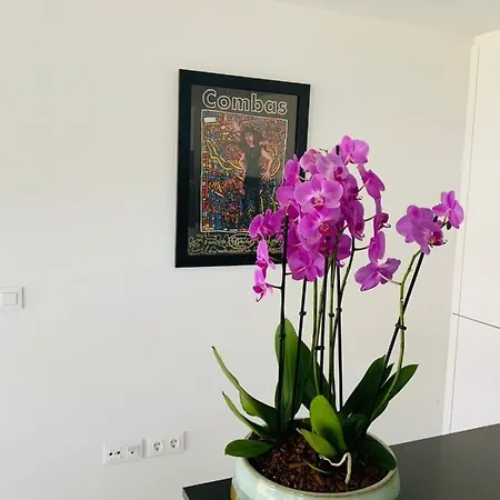 Spectacular Appartement - 4 Bedrooms In A Luxury Residence In Estepona * Estepona